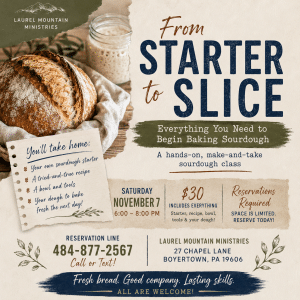 Starter to Slice Social